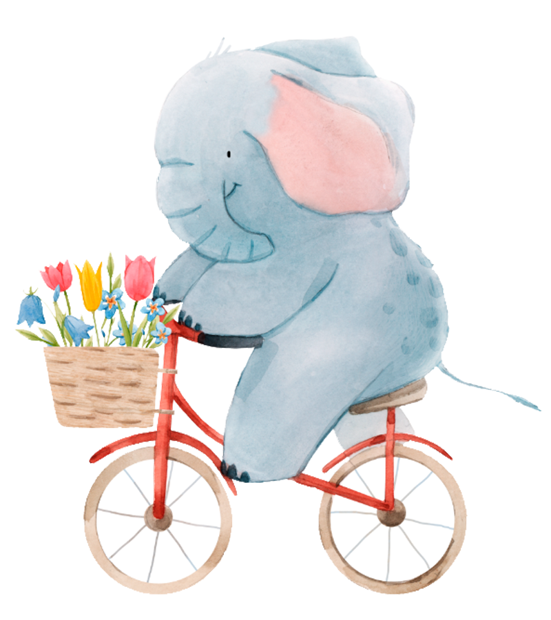 <H4>Summer Camps</H4>